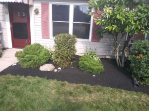landscaping with trimmed bushes