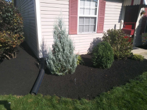 landscaping with fresh mulch